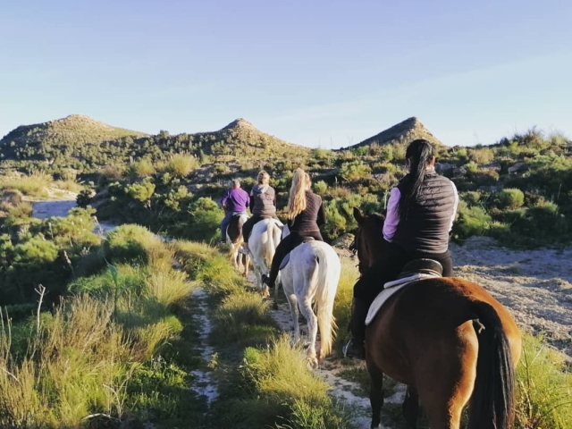 Rutas a caballo en Valencia