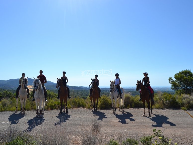 Rutas a caballo en Valencia