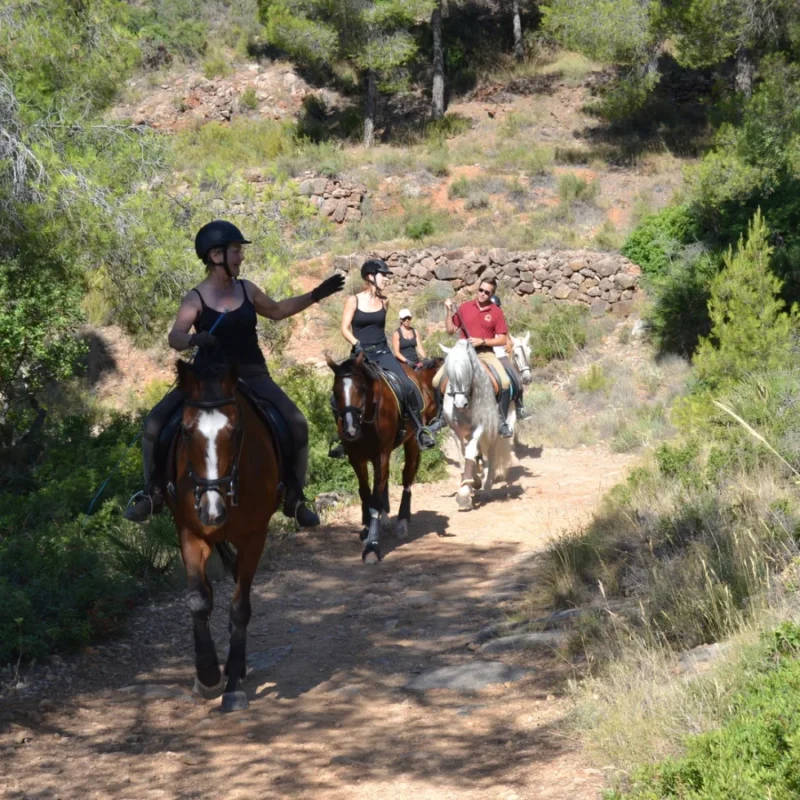 Rutas a caballo en Valencia