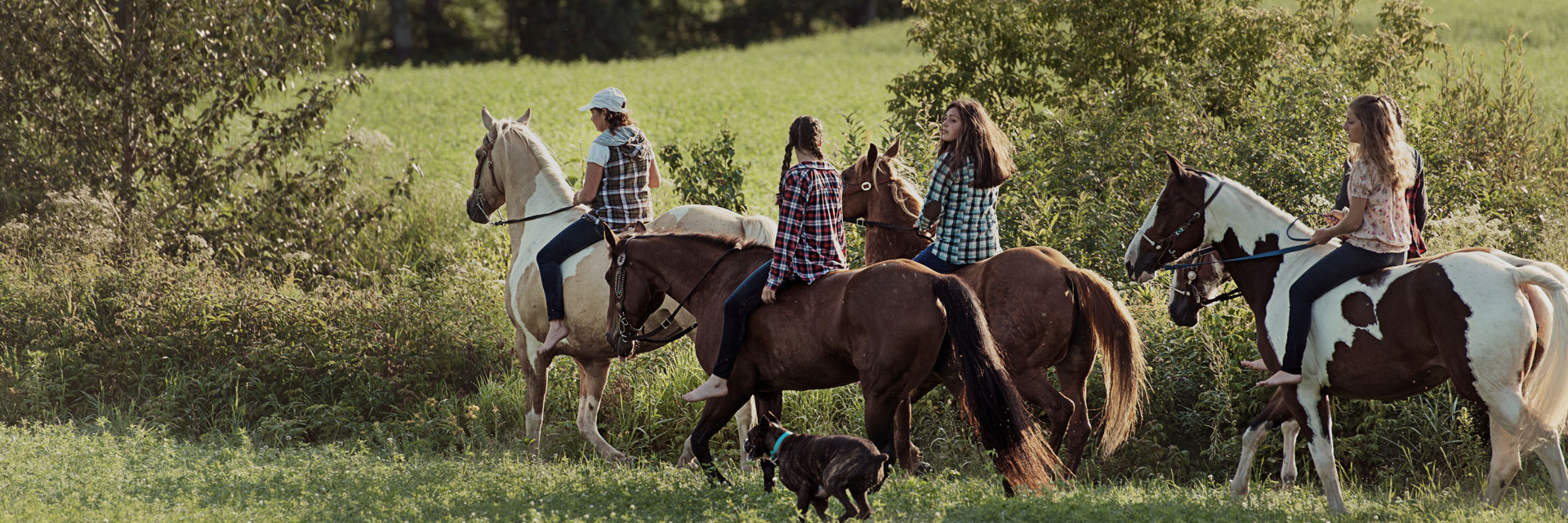 paseos a caballo en Valencia