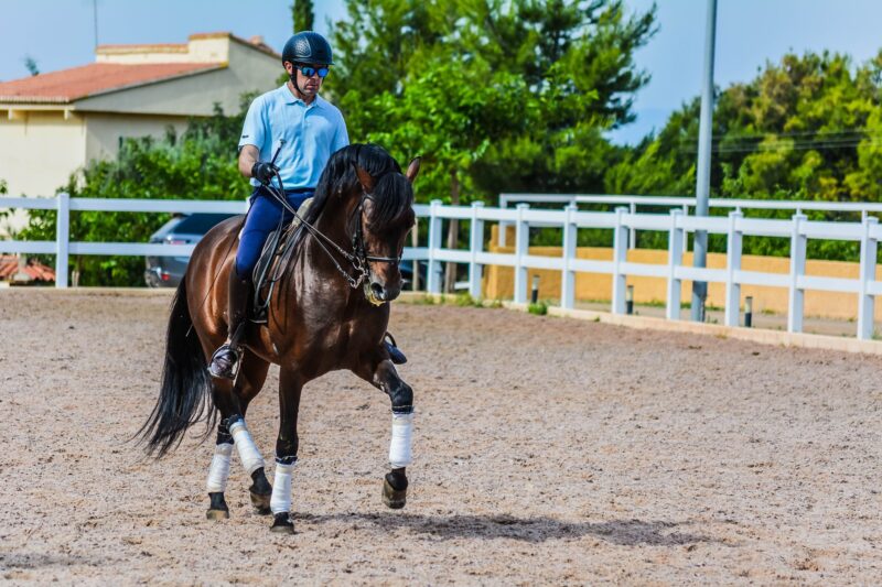 montar a caballo en Valencia