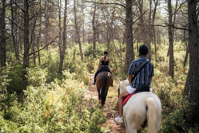 montar a caballo en Valencia